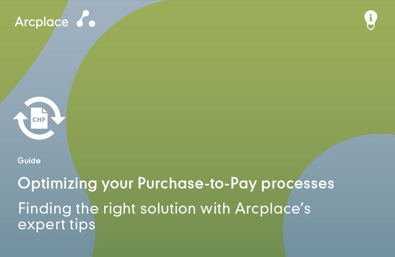 Guide Evaluation Purchase-to-Pay